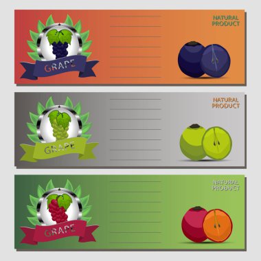 Olgun meyve renkli üzüm için vektör çizim