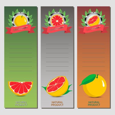 Vektör çizim için olgunlaşmış meyve narenciye greyfurt