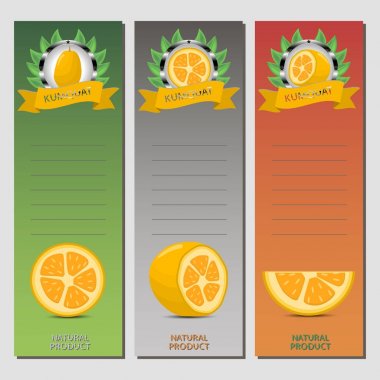 Olgun meyve sarı Kamkat için vektör çizim