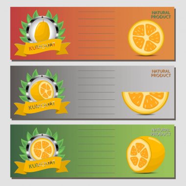 Olgun meyve sarı Kamkat için vektör çizim