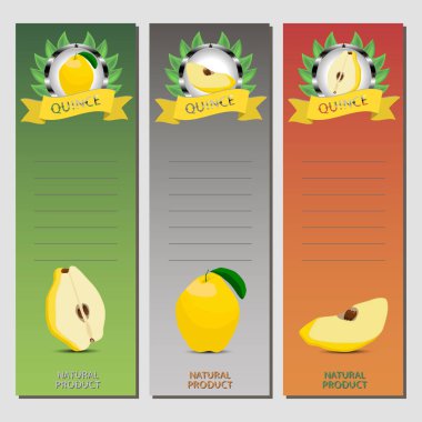 Vektör çizim için olgunlaşmış meyve sarı Ayva