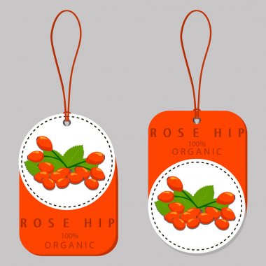 Bütün Konfit rose hips şube yeşil yaprak