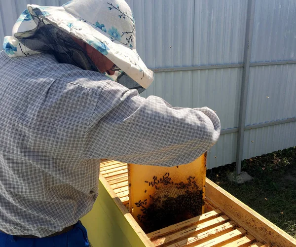 翼を持つミツバチは、養蜂家がプライベートで蜜を集めるためにゆっくりと飛ぶ — ストック写真