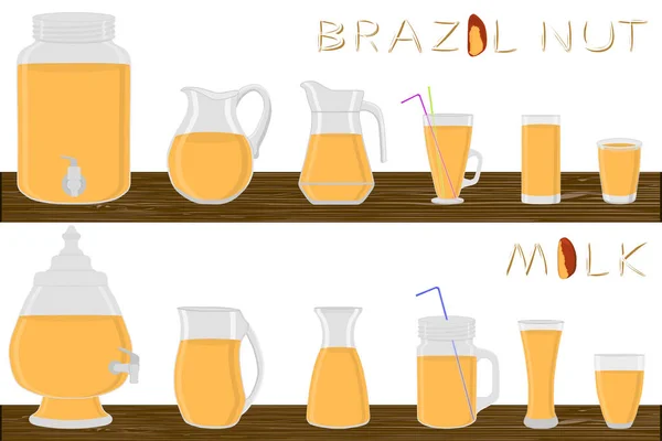 Μεγάλο Κιτ Διαφορετικά Είδη Γυαλικά Brazil Καρύδι Γάλα Κανάτες Διαφόρων — Διανυσματικό Αρχείο