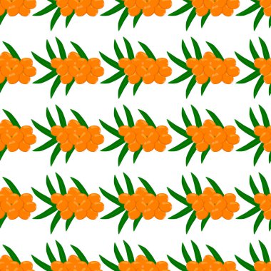 Temalı, büyük, renksiz, dikensiz deniz dikenli, parlak dut desenli fok. Böğürtlen deseni, güzel, kusursuz tekrar eden deniz dikeninden oluşuyor. Dikensiz deniz dikeninin basit renkli desenli meyvesi..