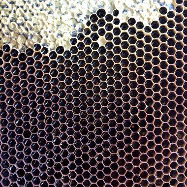 Soyut altıgen yapısı altın bal dolu arı kovanından bal peteği. Bal peteği yaz kompozisyonu arı köyünden yapışkan bal içerir. Arıların kırsal bal petekleri taşraya.