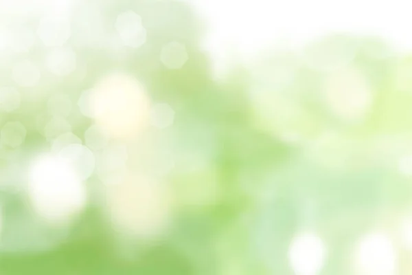 Light green background beautiful bokeh