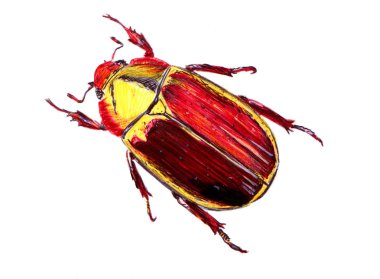 parlak böceği, kağıt üzerinde bir tükenmez kalemle çizilmiş kumaş üzerine baskı alabilirsiniz