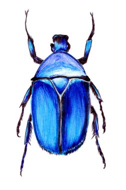 parlak böceği, kağıt üzerinde bir tükenmez kalemle çizilmiş kumaş üzerine baskı alabilirsiniz