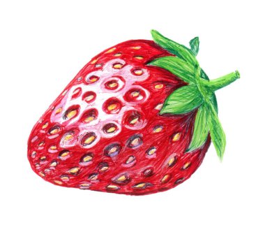 Kağıt üzerinde renkli tükenmez kalem ile boyalı renkli çilek