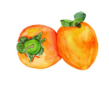 Kalemlerle ve suluboya boyalarla çizilmiş yemek çizimleri.