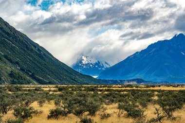 Dağ aşçısına giden yol