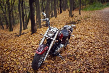 Klasik motosiklet sonbahar ormanın içinde ön tekerlek