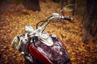 Klasik Japonya chopper motosiklet sonbahar ormanda