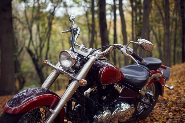 Az első kerék a klasszikus japán chopper motorkerékpár az őszi erdő Jogdíjmentes Stock Képek
