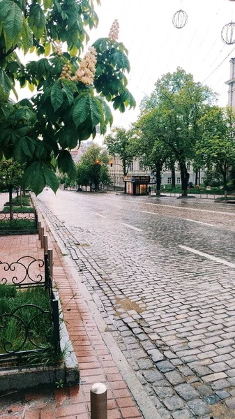 Ucrania Kiev Cuarentena Efecto Película Calle Ciudad Vacía —  Fotos de Stock