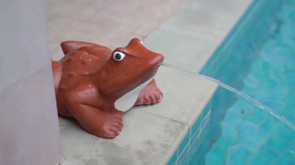Estatua de rana con fuente. Piscina. Estatua de rana con fuente que llena una piscina . — Vídeos de Stock