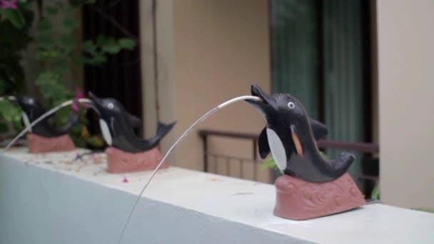 Декоративный дельфин возле бассейна — стоковое видео