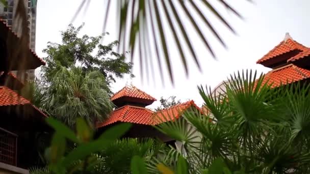 Pomarańczowy dachówkami i palmy — Wideo stockowe