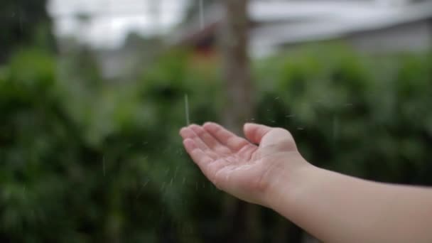 Le gocce di pioggia cadono nelle mani delle donne — Video Stock