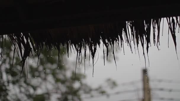 Kapky deště padají ze střechy slámy. — Stock video