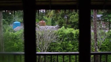 Tropikal pencerenin arkasında yağmur