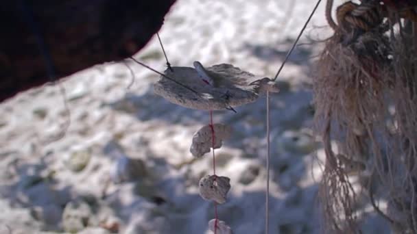 Les coraux blancs marins dépendent des cordes sur l'île près de Chang — Video