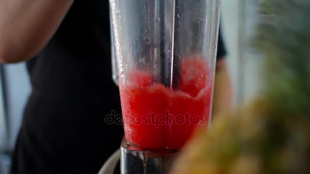 Melon d'eau dans le mélangeur pour secouer — Video