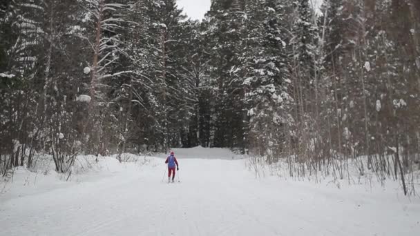 Skidåkare skridskorna i skogen, genom träden — Stockvideo