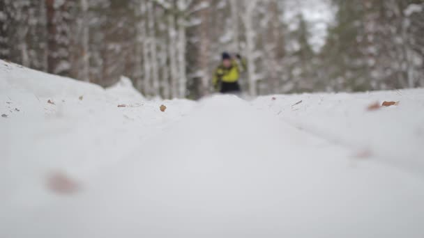 O esquiador patina na floresta. pista de esqui — Vídeo de Stock