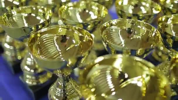 Copas deportivas de oro para ganar competiciones — Vídeos de Stock