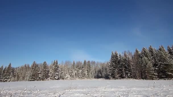 Paisaje de invierno desde Rusia — Vídeos de Stock