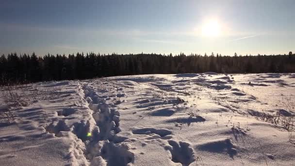 Paisagem rural de inverno da Rússia — Vídeo de Stock