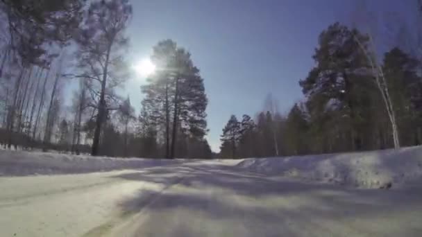 Vinter land landskap från Ryssland. — Stockvideo