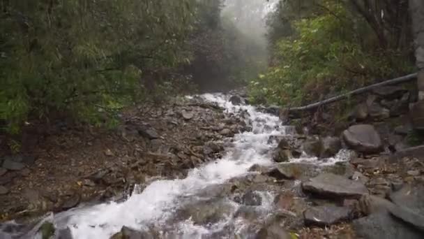Seething clean clear mountain river waterfall flowing slow motion — Stock Video