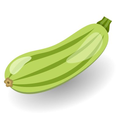 Taze kabak arka plan üzerinde izole. Vektör çizim. Squash bütün