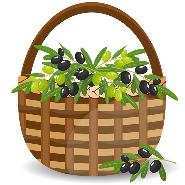 Korb mit grünen und schwarzen Oliven isoliert auf weiß. Vektorillustration. — Stockvektor