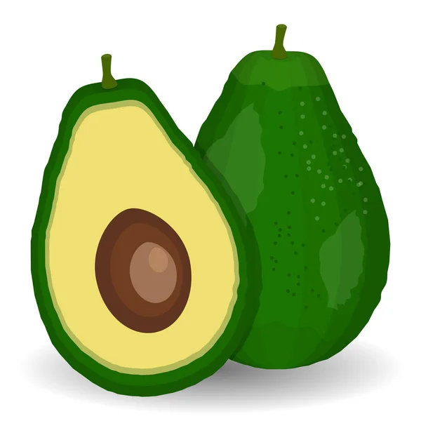 Realistische vector avocados illustratie. Gehele en gesneden avocado geïsoleerd op witte achtergrond. — Stockvector