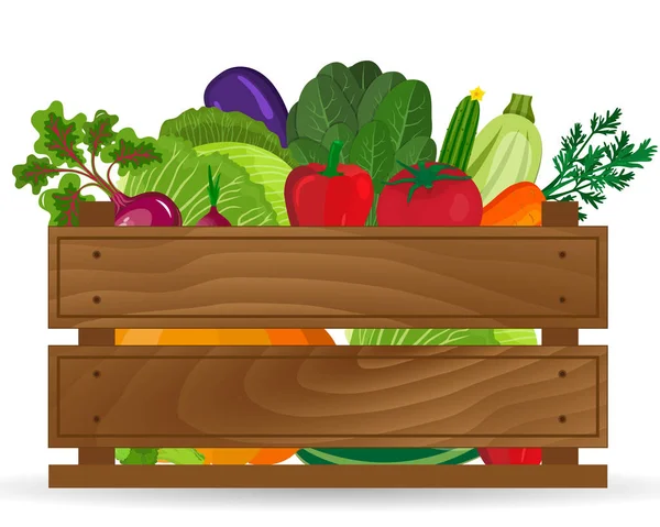 Verduras frescas en una ilustración de caja. Verduras saludables y pancartas de comida vegetariana. Alimentos orgánicos frescos, alimentación saludable — Vector de stock