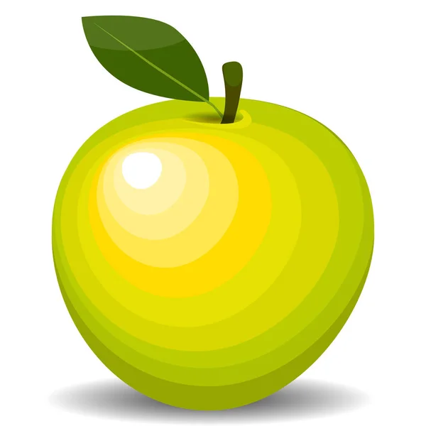 Yeşil elma - vektör çizim — Stok Vektör