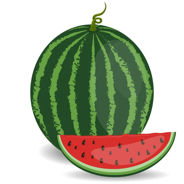 Isolierte Wassermelone. ganze Wassermelonenfrüchte und eine Hälfte isoliert auf weißem Hintergrund. Vektor. flacher Stil — Stockvektor