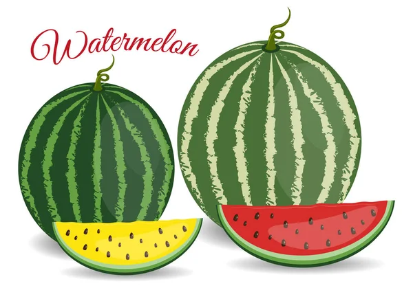 Melancia isolada. Fruta de melancia inteira e meia isolada sobre fundo branco. vector. estilo plano — Vetor de Stock