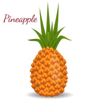 Beyaz arka plan üzerinde izole ananas. Düz stil botanik çizimde