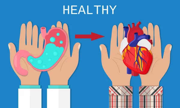Здоровий спосіб життя. Лікар тримає сито живіт. Людина тримає приємне серце. Плоский стиль. Векторні ілюстрації — стоковий вектор