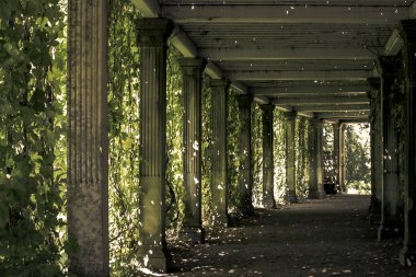 Yeşil Tsarskoye Selo Pergola