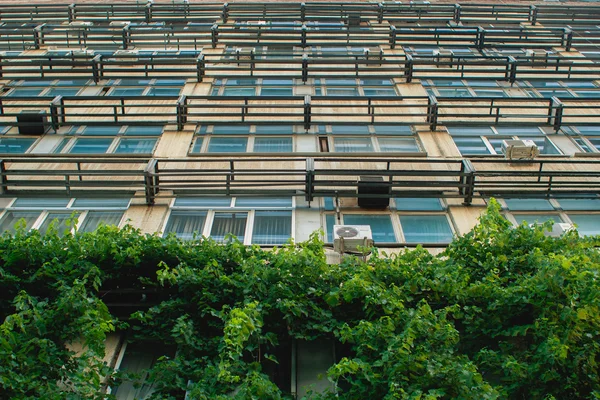 Cubierto con vista al edificio verde desde abajo — Foto de Stock