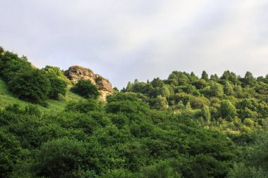 Kislovodsk yaz yeşil sakin dağ silsilesi peyzaj