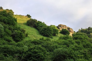 Kislovodsk yaz yeşil sakin dağ silsilesi peyzaj