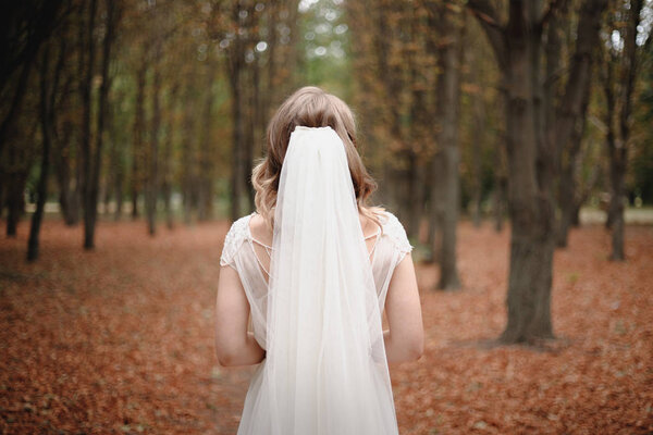 The bride stands with his back in a wedding veil in the autumn forest