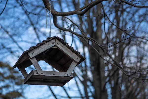 Houten Vogelvoeder Vorm Van Een Huis Opgehangen Aan Een Tak — Stockfoto